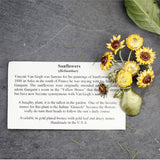 Michael Michaud Van Gogh Sunflowers Vase Brooch-One Quarter