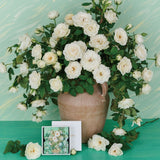 Van Gogh Vase with Pink Roses Enamel Pin-One Quarter